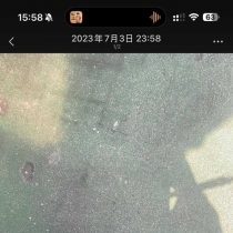 无人扶我青云志  找个老婆壮壮胆