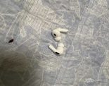苹果耳机盒普楼2求购