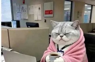 上班了，上班吧，上班呀？上班呢？上班啦！上班呗！