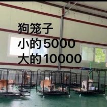狗笼