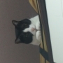 多少