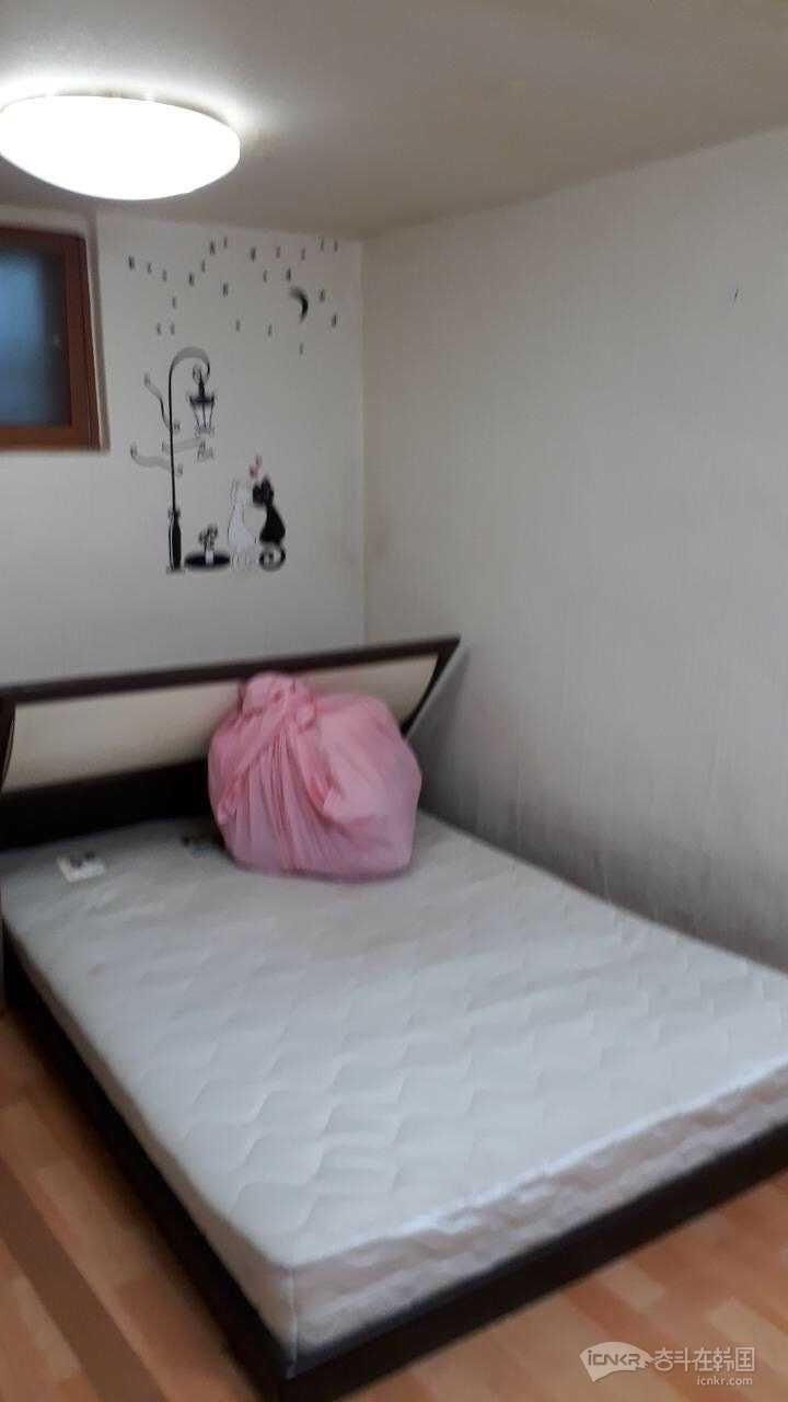 首尔外大emart店 半地下室出租-房屋租赁 奋斗在韩国 韩国留学生华人