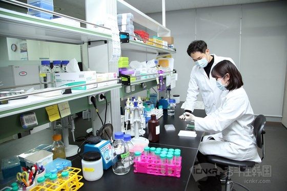 韩企有望在三四年内研发出诊断胰腺癌的简易工具
