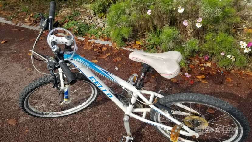 正品三千里牌山地自行车,5万,水原站