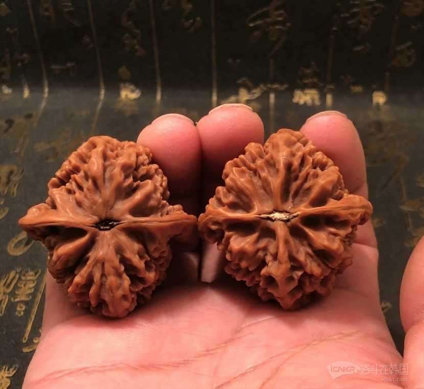 文玩核桃:老树帝王狮子头