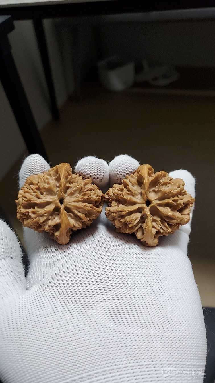 文玩核桃高桩大刺