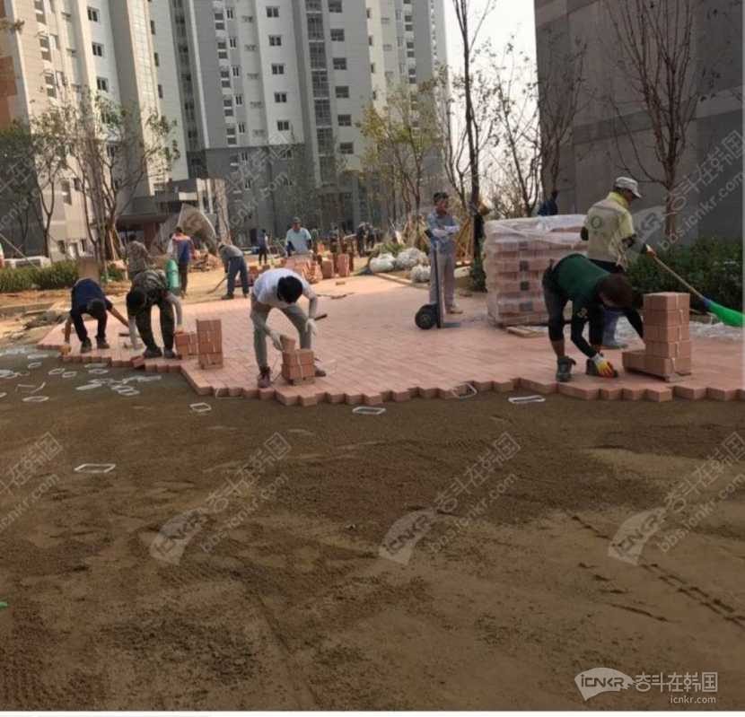【人行道铺地砖招男生】