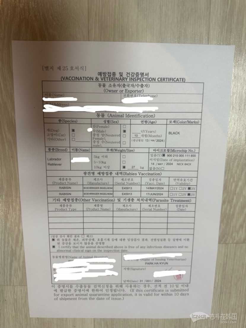 分享下在韩国带（朋友）家的狗回中国的流程！