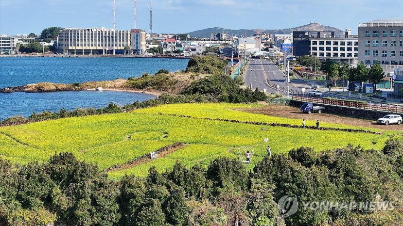 韩国济州将办国家遗产访问年活动