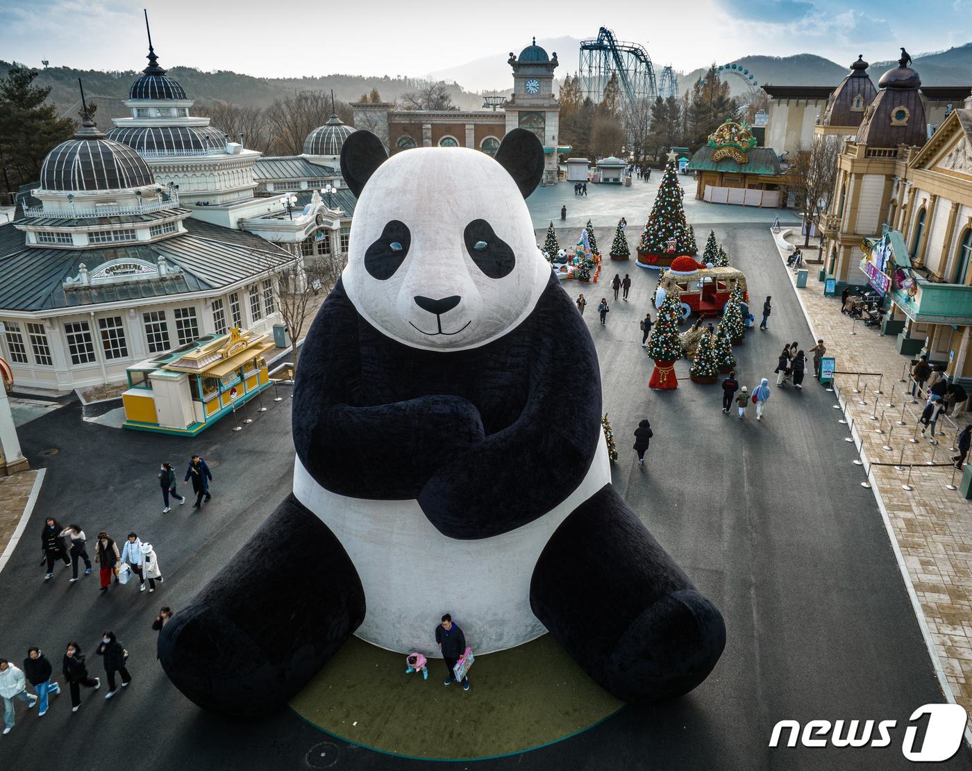韩国爱宝乐园公开大熊猫双胞胎幼崽满月照 - 2023年8月7日, 俄罗斯卫星通讯社