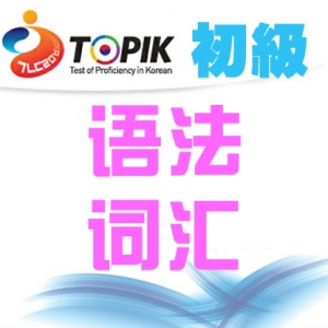 [初级试题]【25届TOPIK试题】韩国语能力考试初级考试词汇及语法视频讲解 ... ...