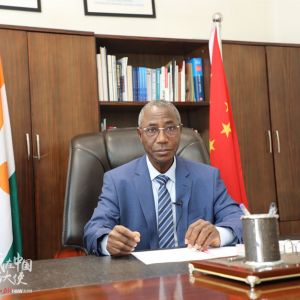 【我在中国当大使】中国助力尼日尔走上发展快车道——访尼日尔驻华大使加尔巴·塞尼 ...