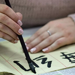 俄媒：汉语人才在俄罗斯就业市场吃香 需求量增长55%