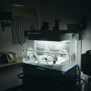 美早产率创新高：超10.5%婴儿提前三个星期出生 有色人种及贫困人口“最受伤” ...